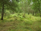 Løykja Cemetery