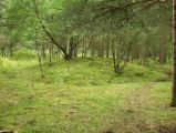 Click for full size image of Løykja Cemetery (PID:53112) Løykja Cemetery