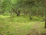 Løykja Cemetery