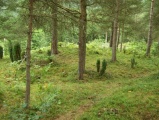 Click for full size image of Løykja Cemetery (PID:53111) Løykja Cemetery