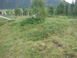 Hagbardsholmen Island burial field