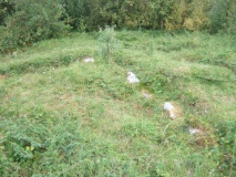 Hagbardsholmen Island burial field - PID:34855