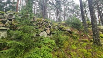 Click for full size image of Borgaren (PID:277713) Borgaren