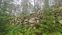 Click for full size image of Borgaren (PID:277711) Borgaren