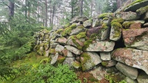 Click for full size image of Borgaren (PID:277717) Borgaren