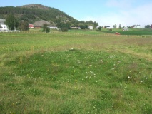 Bjark&oslash;ya barrow cemetary - PID:35272