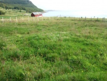 Bjark�ya barrow cemetary - PID:35276
