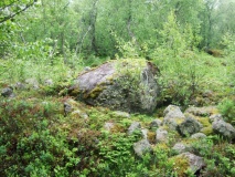 Oppeid sacrificial site - PID:35733