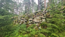 Click for full size image of Borgaren (PID:277712) Borgaren