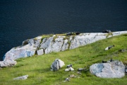Click for full size image of Vingen (PID:156482) Vingen