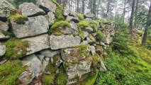 Click for full size image of Borgaren (PID:277719) Borgaren