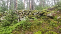Click for full size image of Borgaren (PID:277714) Borgaren