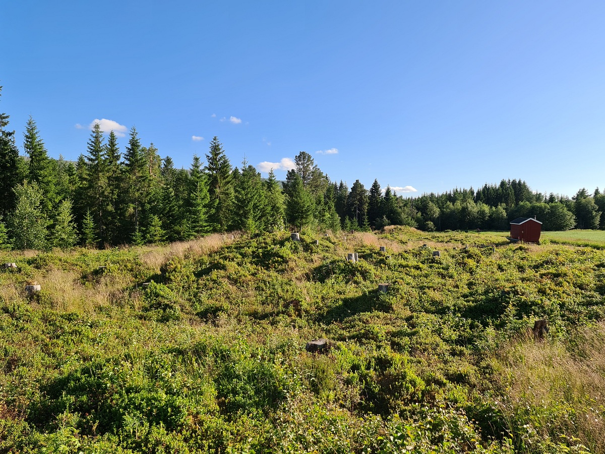 Click for full size image of Åneshaugen-Jørstad (PID:265914) Åneshaugen-Jørstad