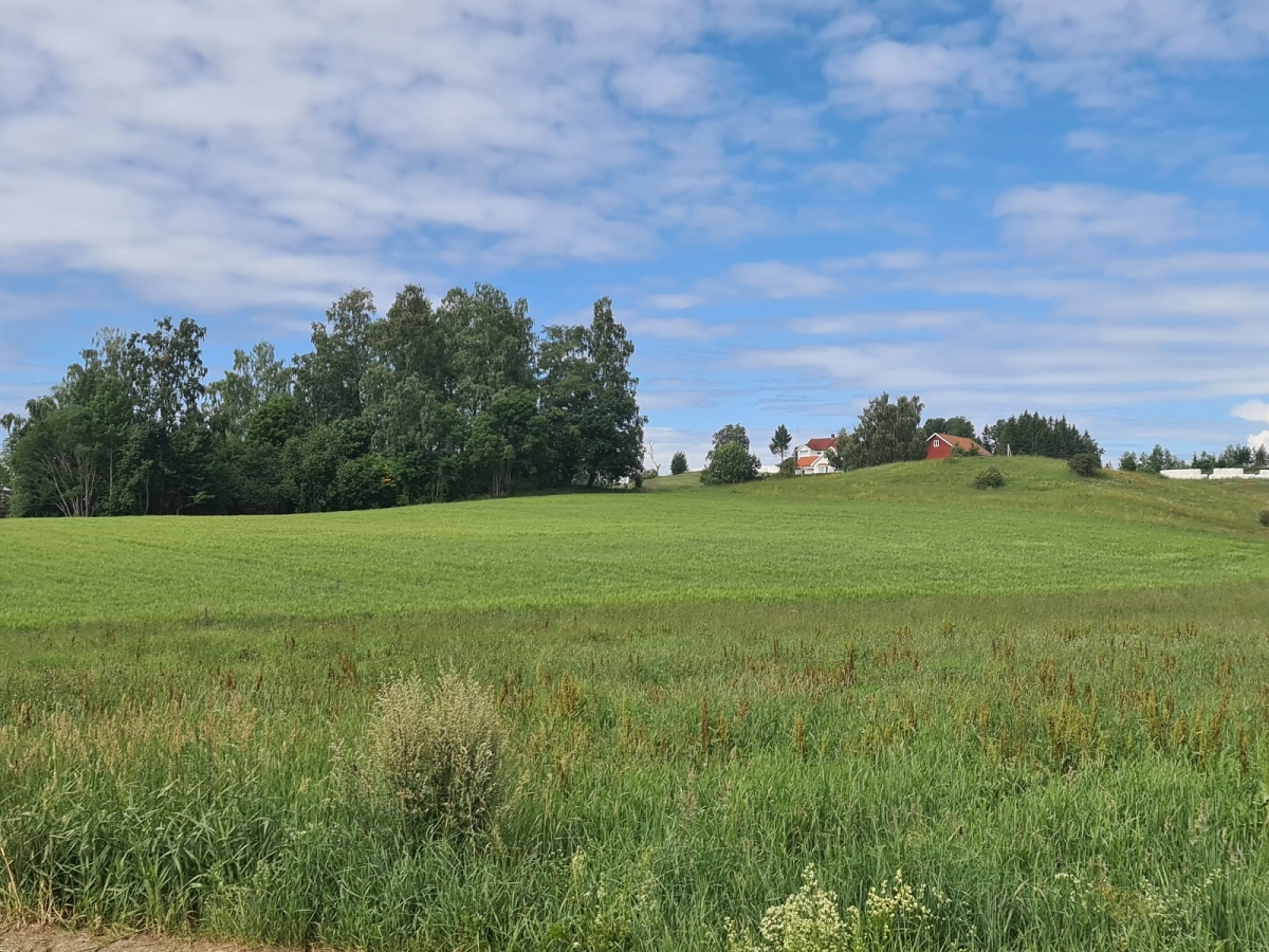 Click for full size image of Haakenstadlinna-Kongshaug (PID:264254) Haakenstadlinna-Kongshaug