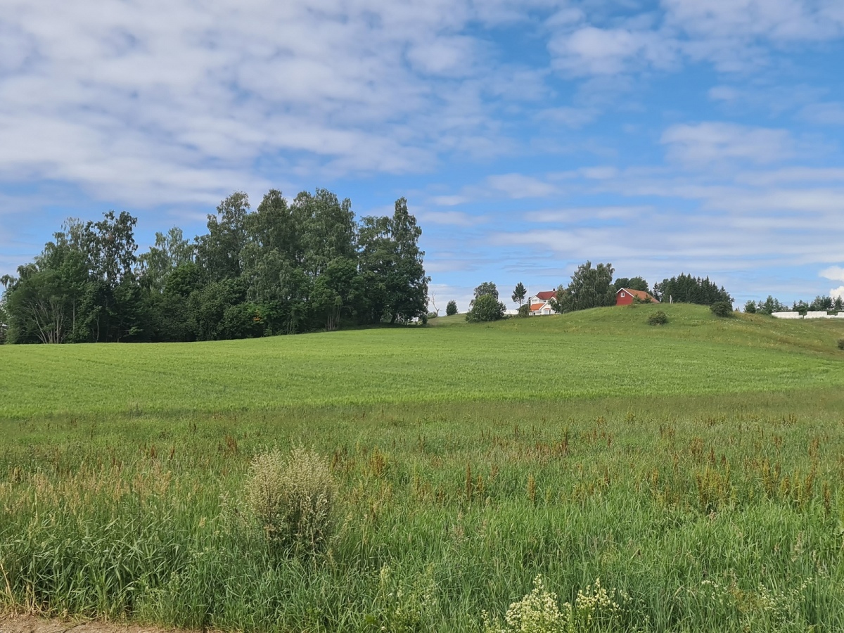 Haakenstadlinna-Kongshaug