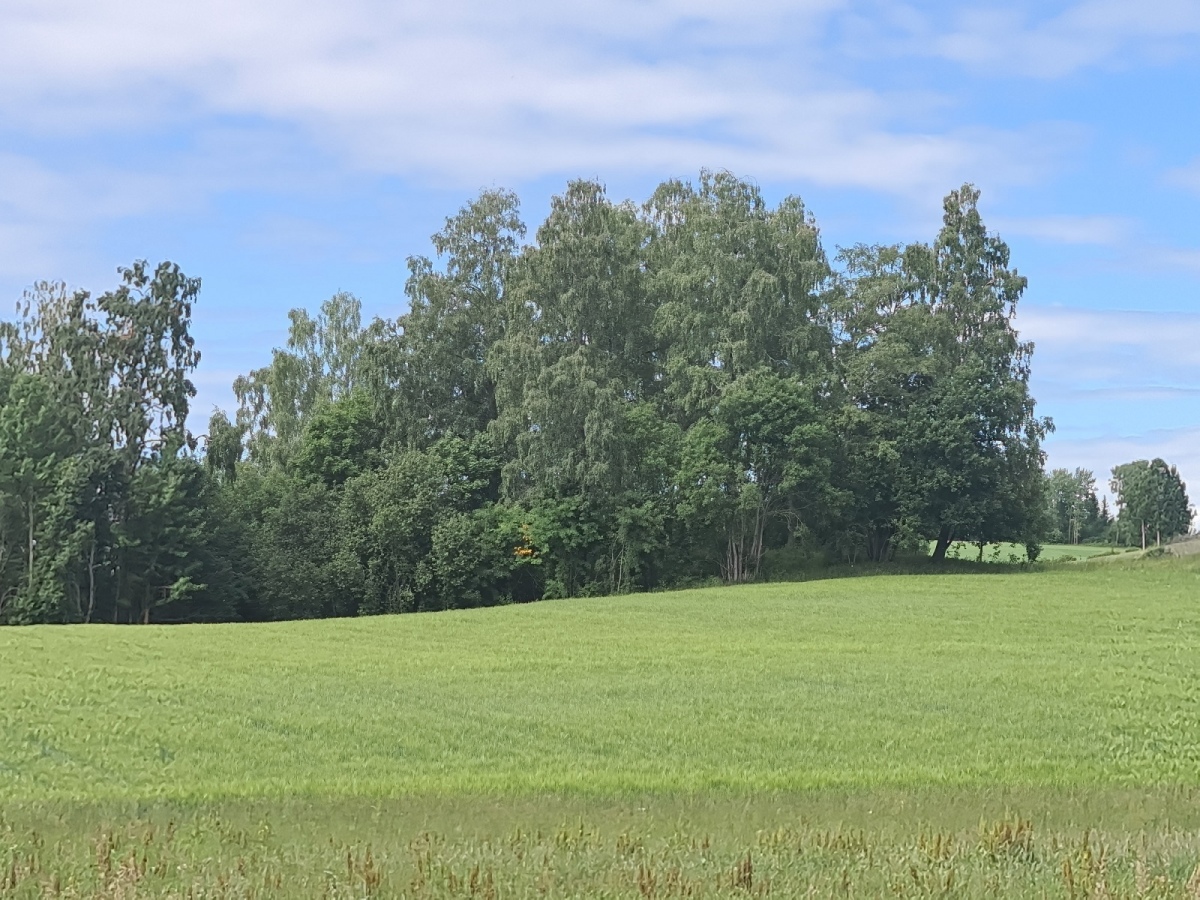 Haakenstadlinna-Kongshaug