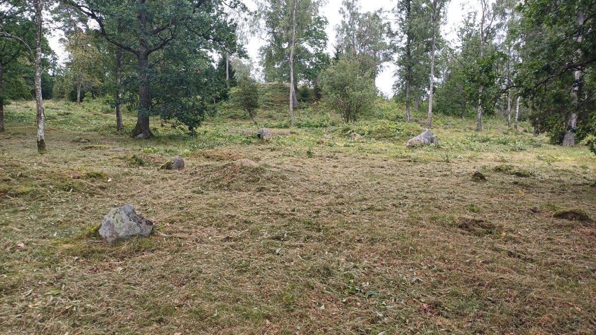 Click for full size image of Replösa gravfält (PID:290672) Replösa gravfält