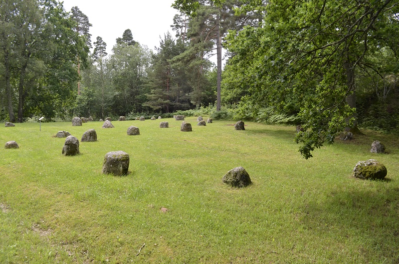 Vårvik Domarringar (PID:153012) Vårvik Domarringar