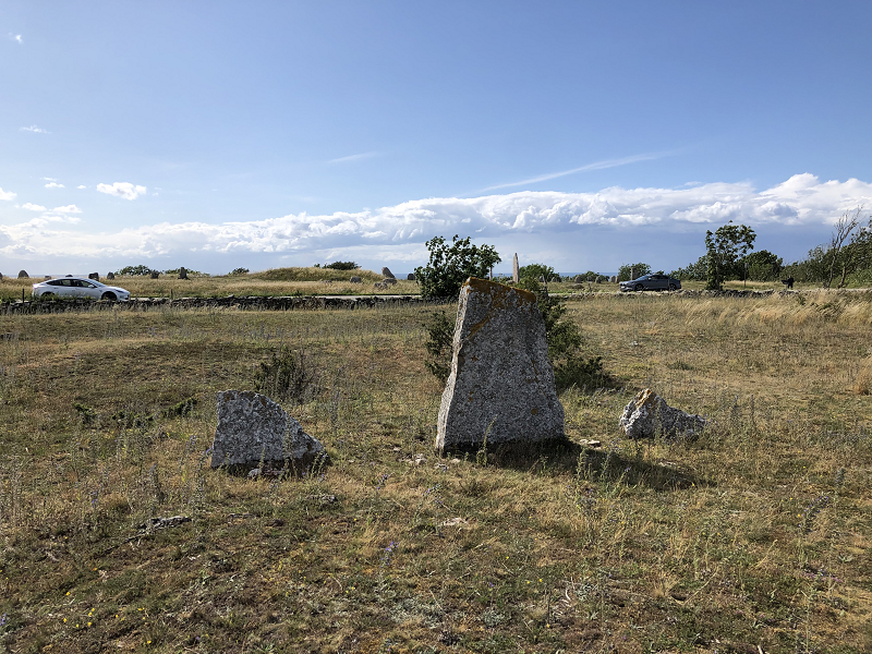 The standing stones with the main site in the background on the other side of the road. 