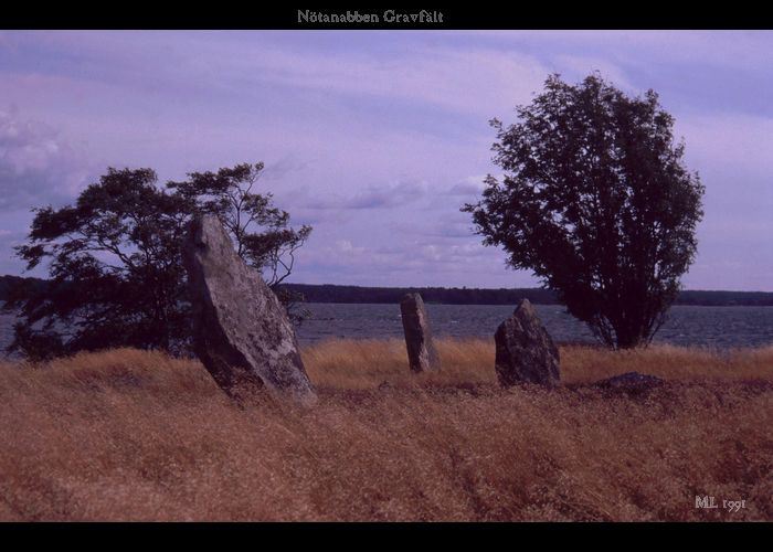 Nötanabben Gravfält