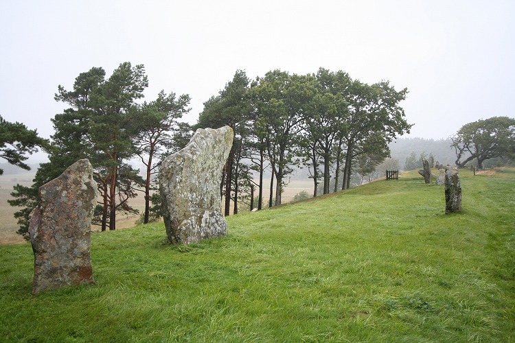 Click for full size image of Örelid (PID:36053) Örelid