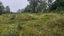 Click for full size image of Replösa gravfält (PID:290668) Replösa gravfält