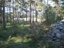 Anga 45:1 - PID:84128