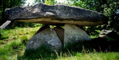 Vrångstad Long Dolmen submitted by greywether