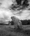 Click for full size image of Örelid (PID:8594) Örelid
