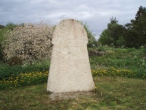 Stenbro Picture Stone - PID:39150