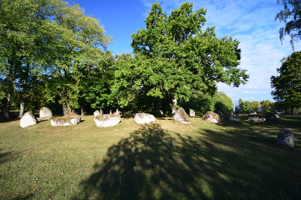 Click for full size image of Nässja domarring (PID:158386) Nässja domarring