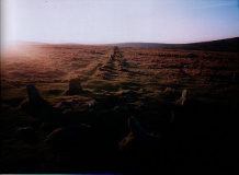 Merrivale - PID:11309