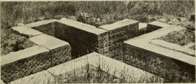Click for full size image of Mitla (PID:220711) Mitla