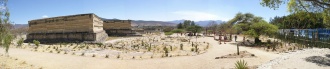 Click for full size image of Mitla (PID:220716) Mitla