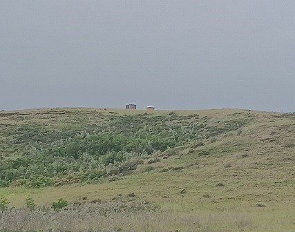 Click for full size image of Blackfoot Buffalo Effigy (PID:292202) Blackfoot Buffalo Effigy