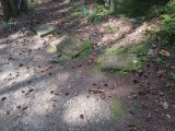 Petroglyph Provincial Park (British Columbia)