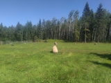 Click for full size image of Park Valley Megalithic Stone Circle (PID:276901) Park Valley Megalithic Stone Circle