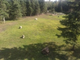 Click for full size image of Park Valley Megalithic Stone Circle (PID:276897) Park Valley Megalithic Stone Circle