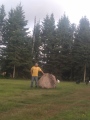 Click for full size image of Park Valley Megalithic Stone Circle (PID:276898) Park Valley Megalithic Stone Circle