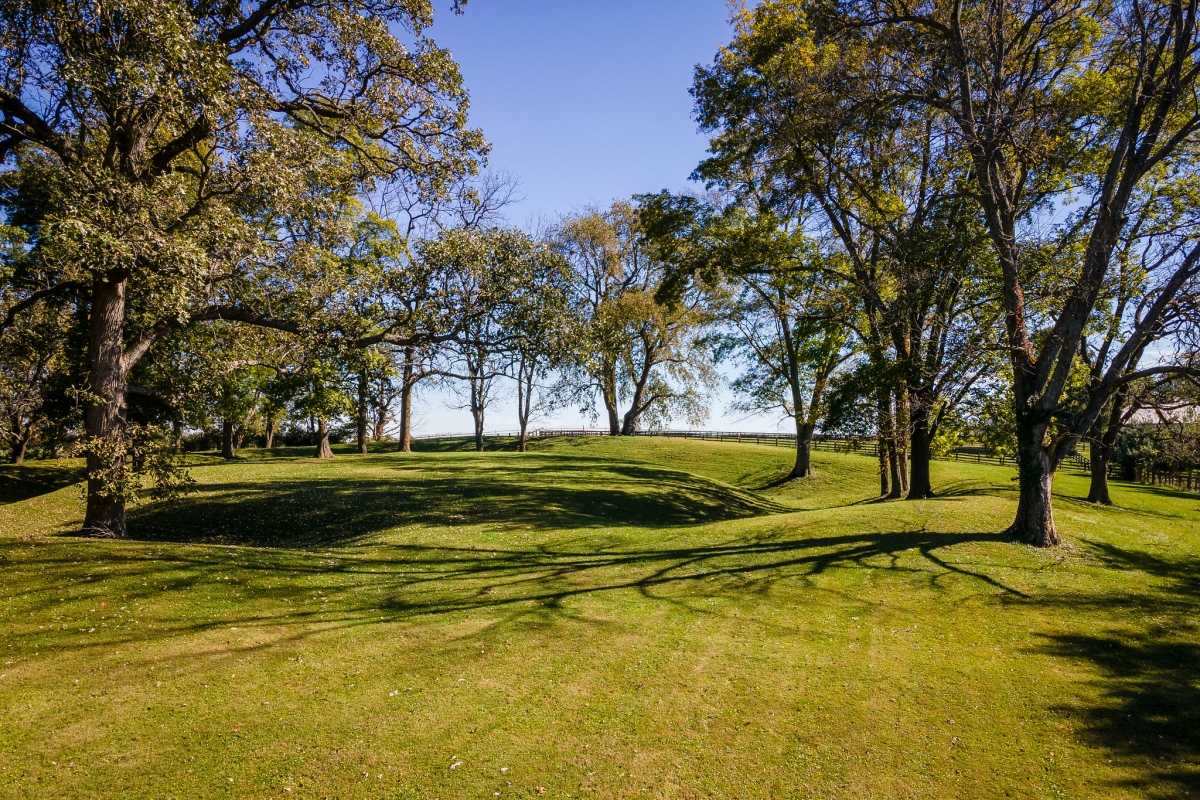 Mt. Horeb Earthworks Complex