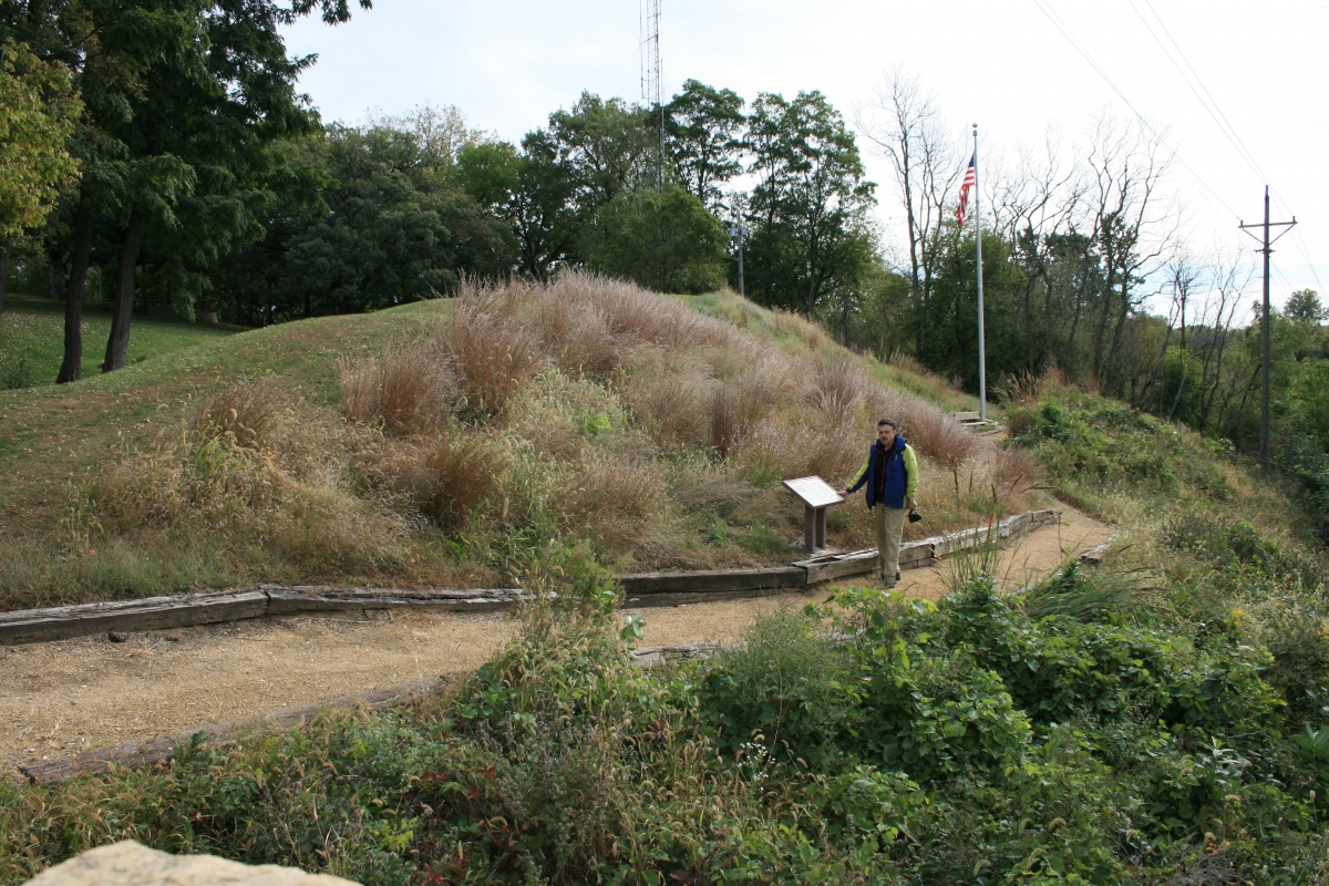 Dunleith Mounds