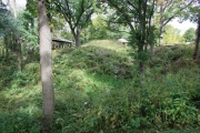 Click for full size image of Dunleith Mounds (PID:261582) Dunleith Mounds