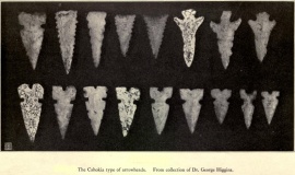 Cahokia - PID:104147