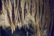 Click for full size image of Mammoth Cave Kentucky (PID:189859) Mammoth Cave Kentucky
