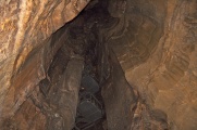 Click for full size image of Mammoth Cave Kentucky (PID:189861) Mammoth Cave Kentucky