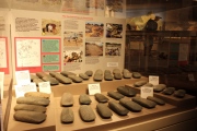 Cahokia - Museum