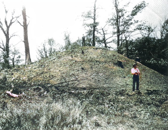 McKees Rocks Mound (PID:261699) McKees Rocks Mound