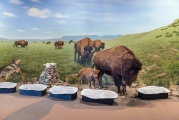 Click for full size image of First Peoples Buffalo Jump (PID:208696) First Peoples Buffalo Jump