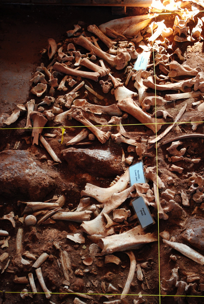 Click for full size image of Vore Buffalo Jump (PID:190570) Vore Buffalo Jump