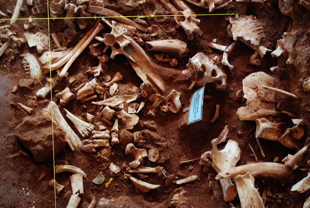Click for full size image of Vore Buffalo Jump (PID:190571) Vore Buffalo Jump